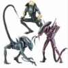 Alien Vs Predator Action Figure 20 Cm Alien Case NECA 51717 - MARCH 2022 -Sconto Modello Giocattolo in Italia 5d44423cf75e9f2fd6723987 large 1