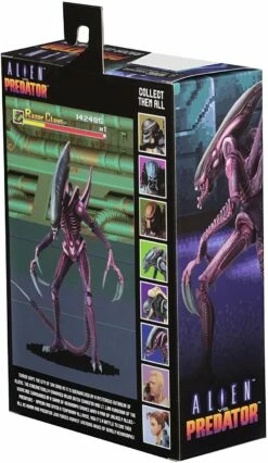 Alien Vs Predator Action Figure 20 Cm Alien Case NECA 51717 - MARCH 2022 -Sconto Modello Giocattolo in Italia 81b98e5JK3L. AC SL1500 1