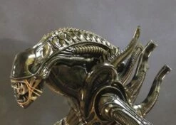 Alien Statua Warrior Xenomorfo Guerriero Scala 1:1 Misura Dimensioni Reali Vetroresina 15 Alien Statua Warrior Xenomorfo Guerriero Scala 1:1 Misura Dimensioni Reali Vetroresina -Sconto Modello Giocattolo in Italia alien3