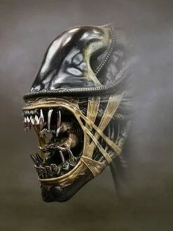 Alien Statua Warrior Xenomorfo Guerriero Scala 1:1 Misura Dimensioni Reali Vetroresina 13 Alien Statua Warrior Xenomorfo Guerriero Scala 1:1 Misura Dimensioni Reali Vetroresina -Sconto Modello Giocattolo in Italia alien4