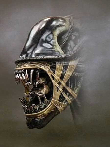 Alien Statua Warrior Xenomorfo Guerriero Scala 1:1 Misura Dimensioni Reali Vetroresina 8 Alien Statua Warrior Xenomorfo Guerriero Scala 1:1 Misura Dimensioni Reali Vetroresina - immagine 6