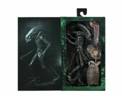Big Chap Alien 1979 Action Figure Ultimate 40th Anniversary 23 Cm NECA 51646 -Sconto Modello Giocattolo in Italia s l1600 13 1 c9bb1da0 47a2 4981 ad95 1dd9c6a5414b