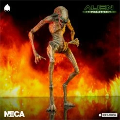 Newborn Deluxe Action Figure Alien Resurrection 28cm NECA 51654 18 Newborn Deluxe Action Figure Alien Resurrection 28cm NECA 51654 -Sconto Modello Giocattolo in Italia s l1600 18 1