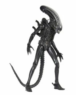 Big Chap 56cm Action Figure Ultimate Scala 1/4 Xenomorph Alien 1979 40th Anniversary NECA 51598 -Sconto Modello Giocattolo in Italia x neca51598