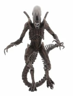 Aliens Action Figures 18 Cm Serie 14 NECA 51651 14 Aliens Action Figures 18 Cm Serie 14 NECA 51651 -Sconto Modello Giocattolo in Italia x neca51651 d