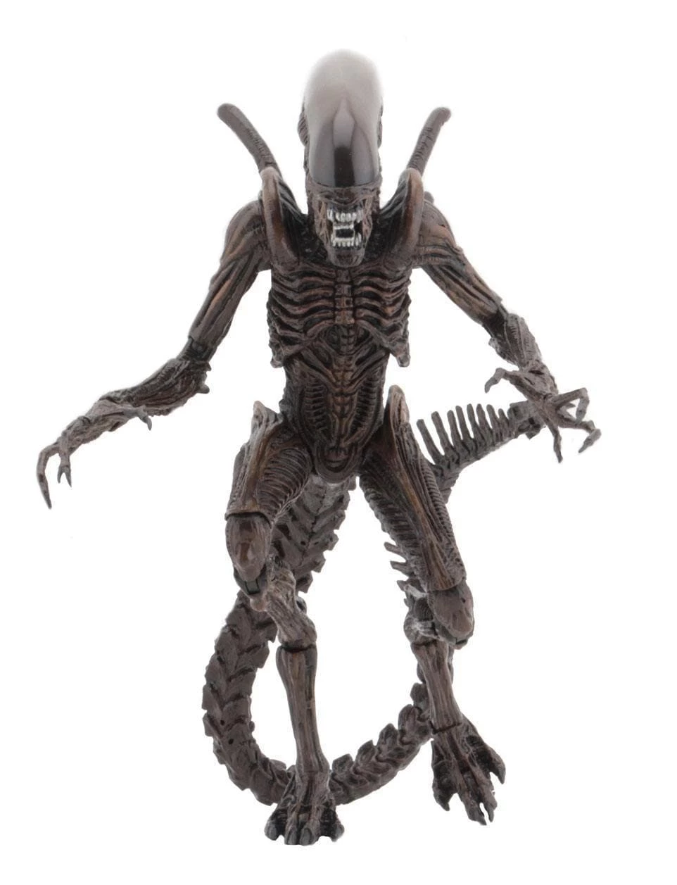 Aliens Action Figures 18 Cm Serie 14 NECA 51651 5 Aliens Action Figures 18 Cm Serie 14 NECA 51651 - immagine 3