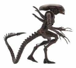 Aliens Action Figures 18 Cm Serie 14 NECA 51651 17 Aliens Action Figures 18 Cm Serie 14 NECA 51651 -Sconto Modello Giocattolo in Italia x neca51651 e