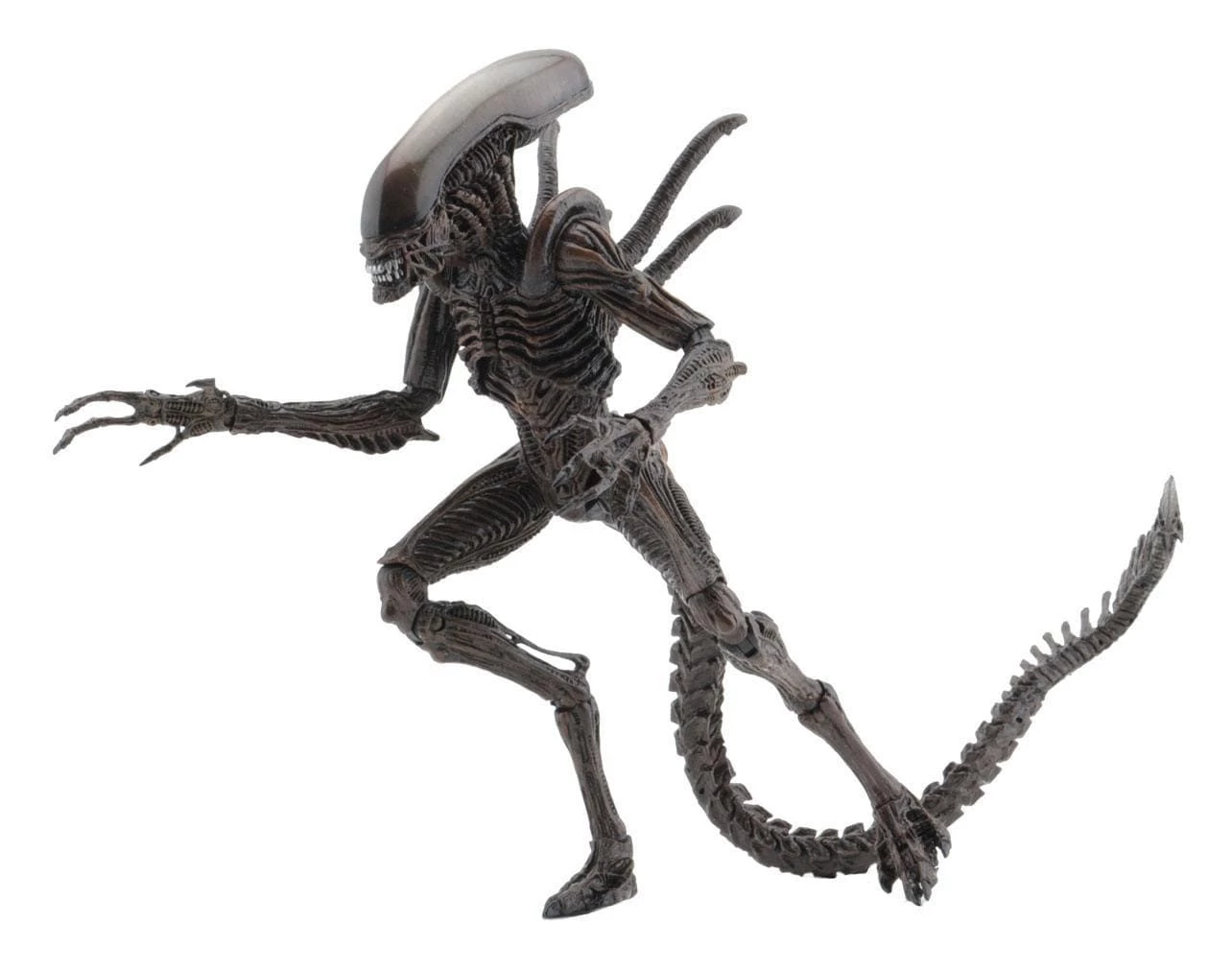 Aliens Action Figures 18 Cm Serie 14 NECA 51651 9 Aliens Action Figures 18 Cm Serie 14 NECA 51651 - immagine 7