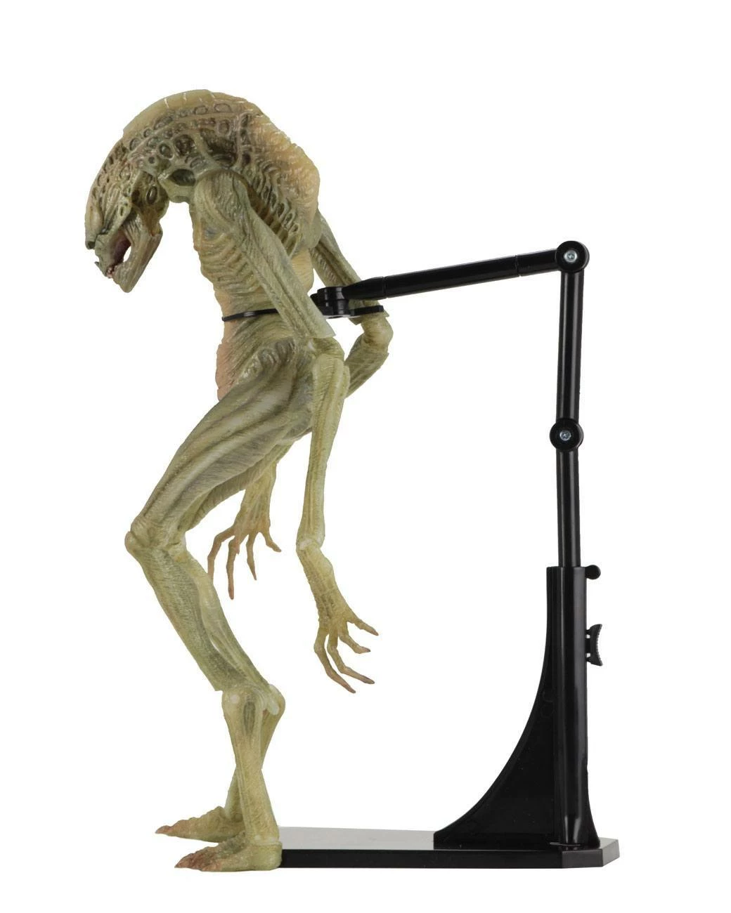 Newborn Deluxe Action Figure Alien Resurrection 28cm NECA 51654 7 Newborn Deluxe Action Figure Alien Resurrection 28cm NECA 51654 - immagine 5