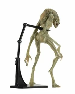 Newborn Deluxe Action Figure Alien Resurrection 28cm NECA 51654 16 Newborn Deluxe Action Figure Alien Resurrection 28cm NECA 51654 -Sconto Modello Giocattolo in Italia x neca51654 b