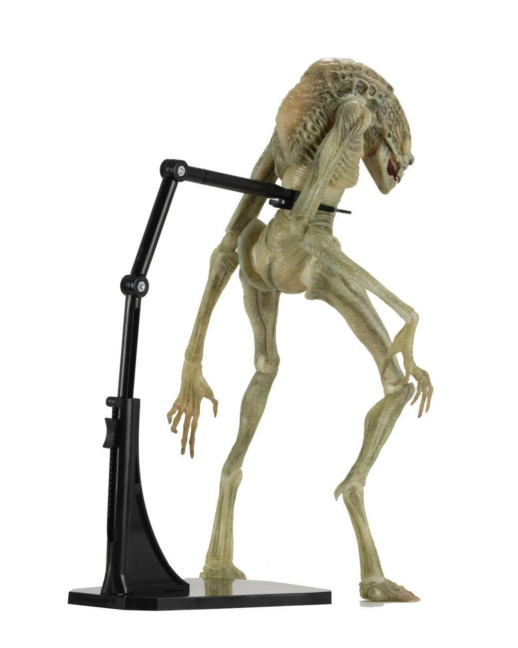 Newborn Deluxe Action Figure Alien Resurrection 28cm NECA 51654 8 Newborn Deluxe Action Figure Alien Resurrection 28cm NECA 51654 - immagine 6