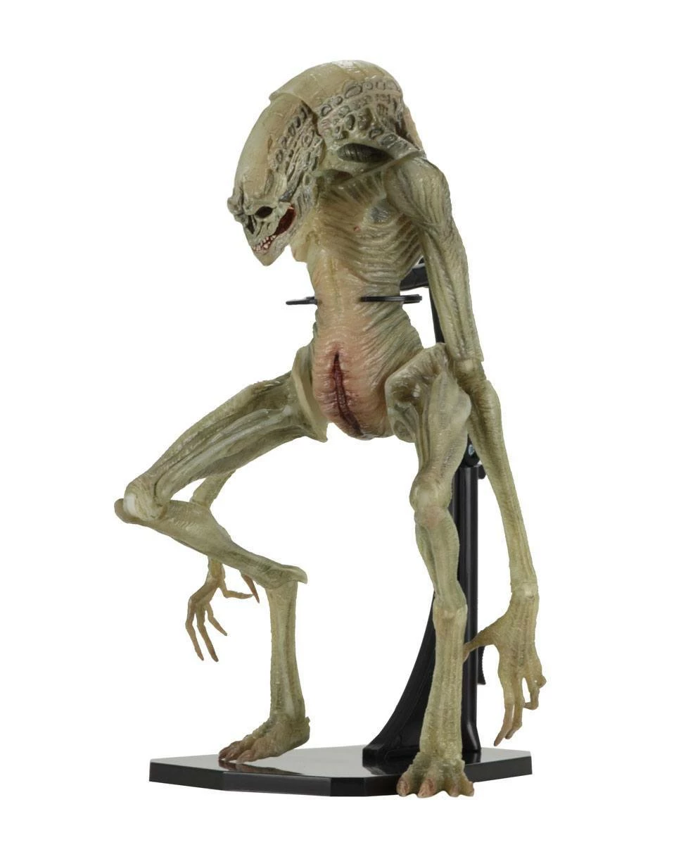 Newborn Deluxe Action Figure Alien Resurrection 28cm NECA 51654 9 Newborn Deluxe Action Figure Alien Resurrection 28cm NECA 51654 - immagine 7