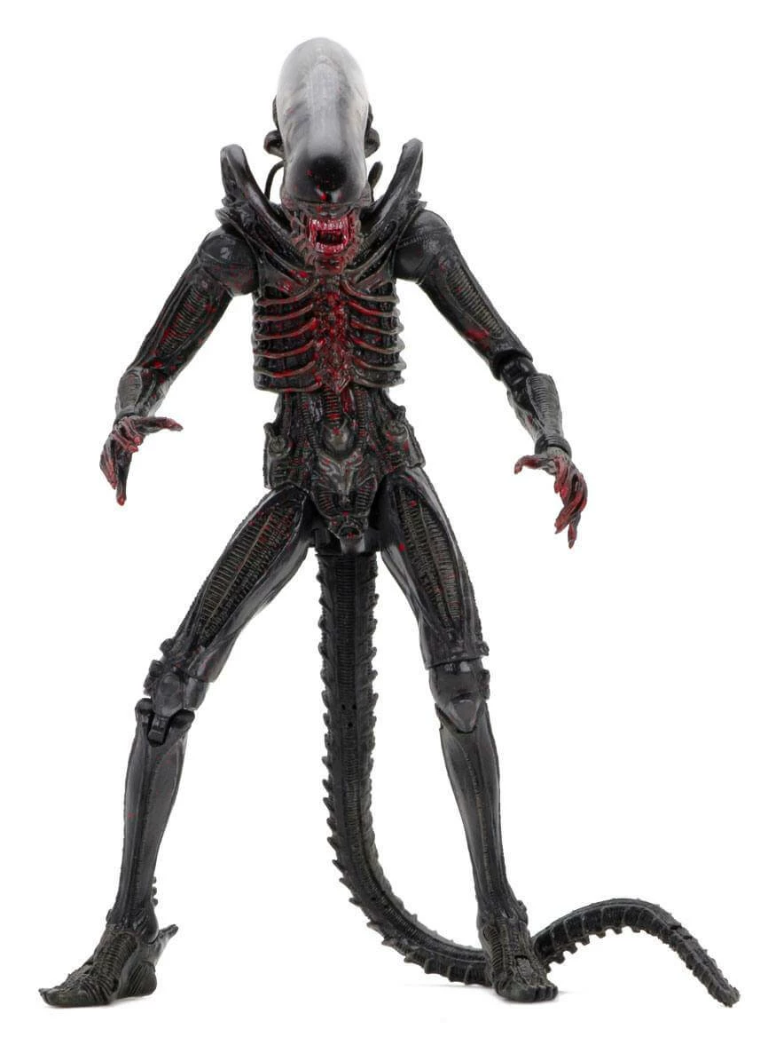 Alien Action Figure 18 Cm 40th Anniversary Series 2 Kenner NECA 51698 22 Alien Action Figure 18 Cm 40th Anniversary Series 2 Kenner NECA 51698 - immagine 20