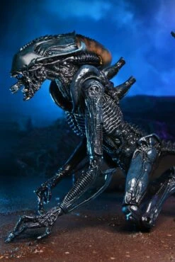 Alien Vs Predator Action Figure 20 Cm Alien Case NECA 51717 - MARCH 2022 -Sconto Modello Giocattolo in Italia x neca51717 d 1