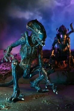 Alien Vs Predator Action Figure 20 Cm Alien Case NECA 51717 - MARCH 2022 -Sconto Modello Giocattolo in Italia x neca51717 g 1