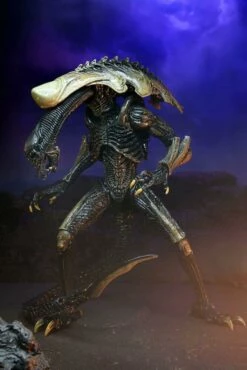 Alien Vs Predator Action Figure 20 Cm Alien Case NECA 51717 - MARCH 2022 -Sconto Modello Giocattolo in Italia x neca51717 n 1
