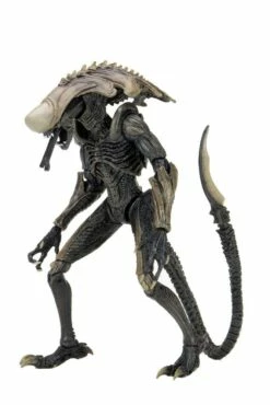Alien Vs Predator Action Figure 20 Cm Alien Case NECA 51717 - MARCH 2022 -Sconto Modello Giocattolo in Italia x neca51717 y 1