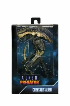 Alien Vs Predator Action Figure 20 Cm Alien Case NECA 51717 - MARCH 2022 -Sconto Modello Giocattolo in Italia x neca51717 z 1